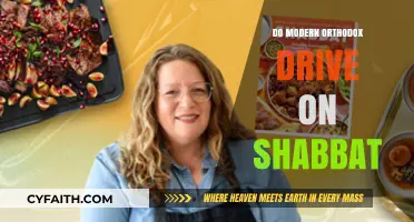 Modern Orthodox Shabbat Driving Practices: Halacha, Technology, and Community Perspectives
