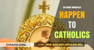 Why Catholics Witness and Experience More Miracles