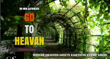 Who Goes to Heaven? Non-Catholics' Fate Explored