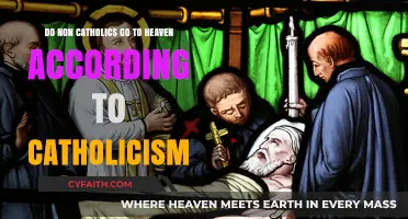 Can Non-Catholics Enter Heaven? Exploring Catholic Teachings and Beliefs