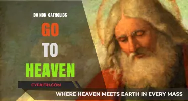 Who Goes to Heaven? Non-Catholics' Fate Explored