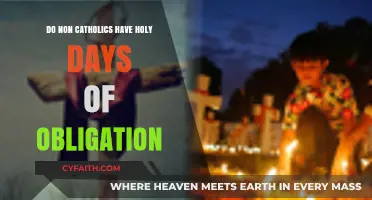 Holy Days of Obligation: Who Needs to Observe?