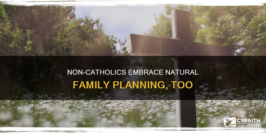 do non catholics use natural family planning