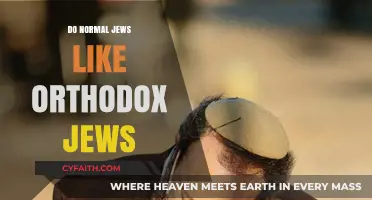 Understanding the Relationship Between Normal and Orthodox Jews: A Community Perspective