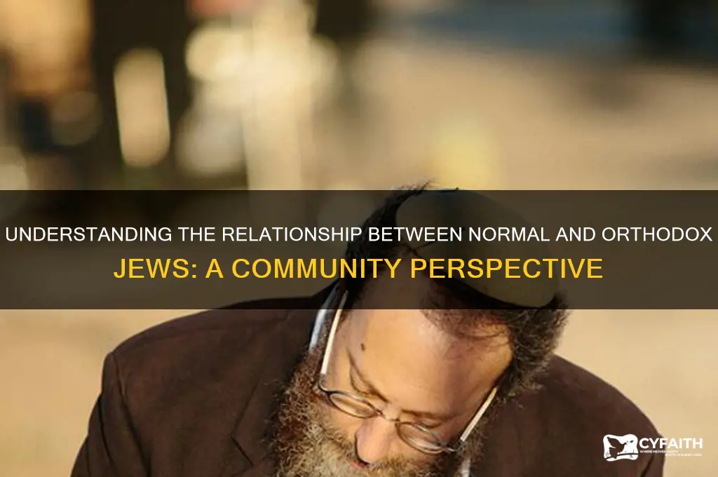 do normal jews like orthodox jews