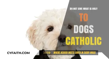 Do Not Give What Is Holy to Dogs: Catholic Insights Explained