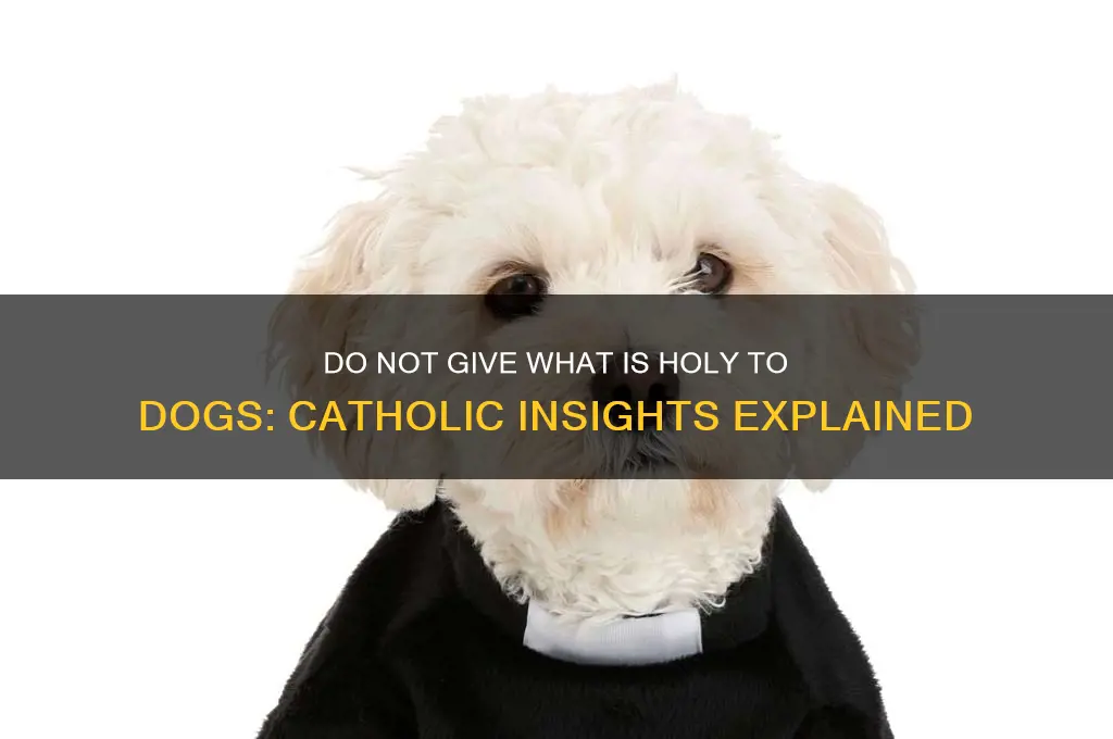 do not give what is holy to dogs catholic