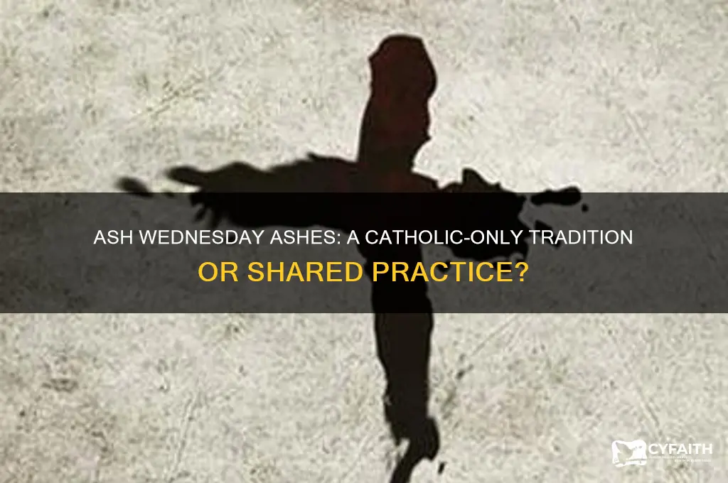 do only catholics get ashes