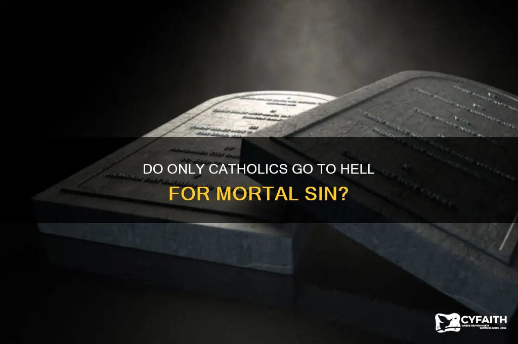 do only catholics go to hell in mortal sin