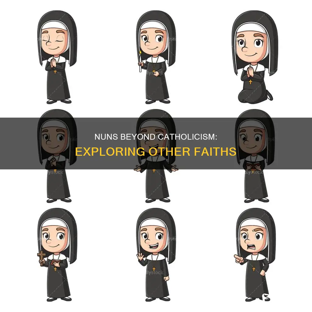 do only the catholics have nuns