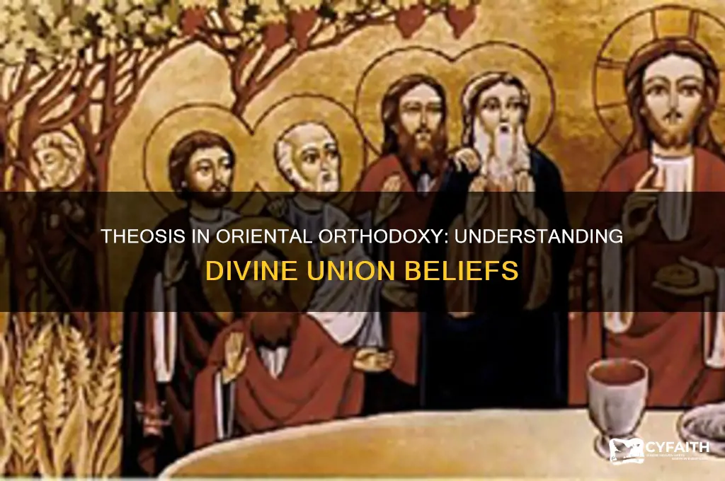 do oriental orthodox believe in theosis