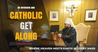 Orthodox and Catholic Relations: Exploring Unity, Differences, and Mutual Understanding