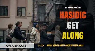 Orthodox vs. Hasidic: Exploring the Dynamics of Jewish Community Relations
