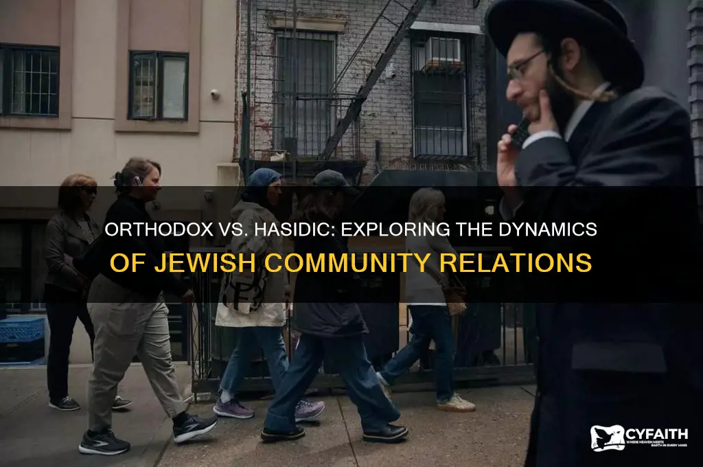 do orthodox and hasidic get along