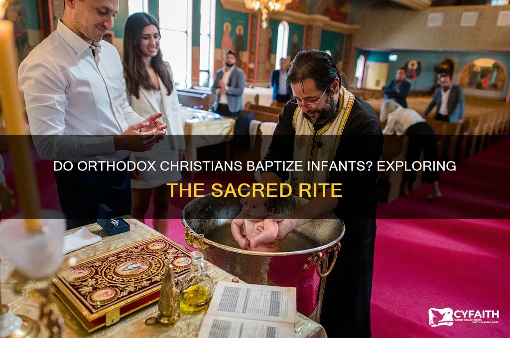 do orthodox baptize babies