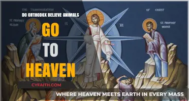 Do Orthodox Christians Believe Pets and Animals Enter Heaven?
