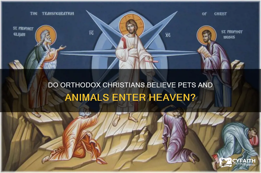 do orthodox believe animals go to heaven
