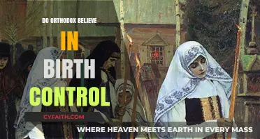 Orthodox Views on Birth Control: Beliefs, Practices, and Perspectives