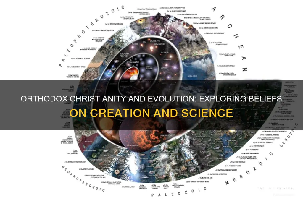 do orthodox believe in evolution