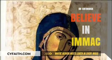 Orthodox Beliefs on Immaculate Conception: Exploring Theological Perspectives
