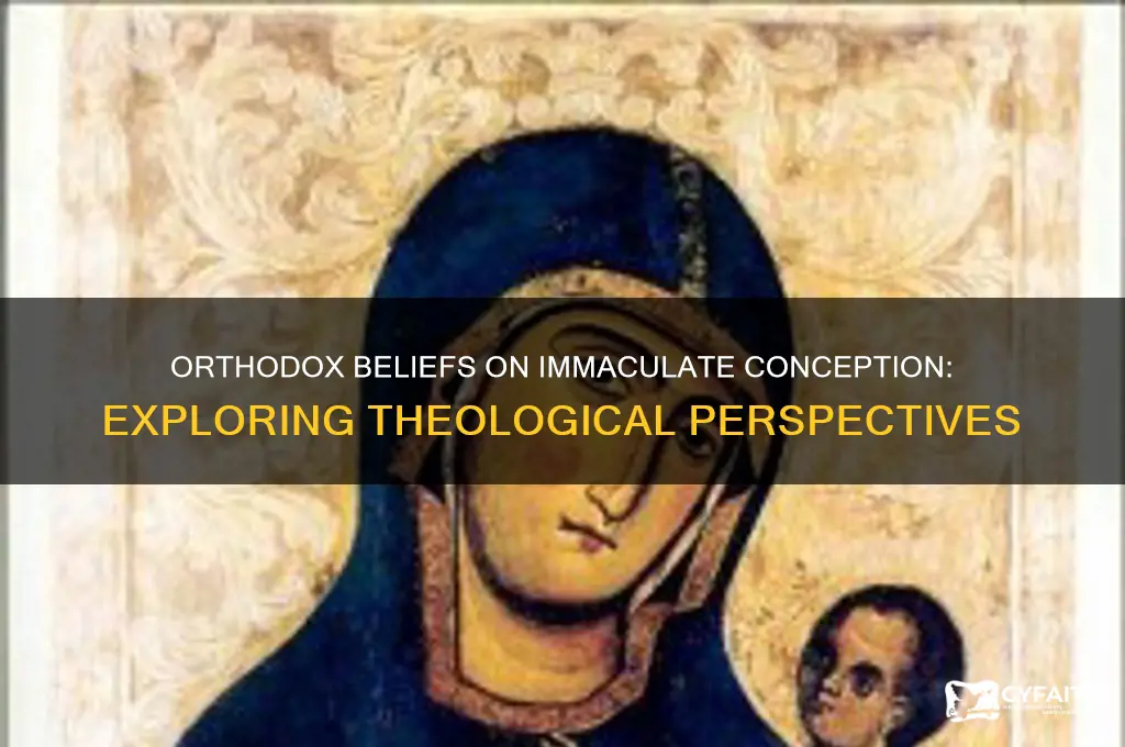 do orthodox believe in immac