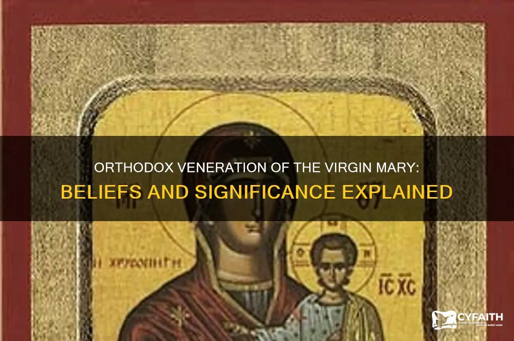 do orthodox believe in virgin mary