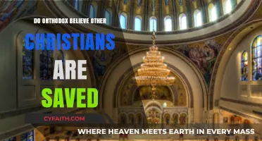 Orthodox Perspectives: Are Other Christians Saved in Their Theology?