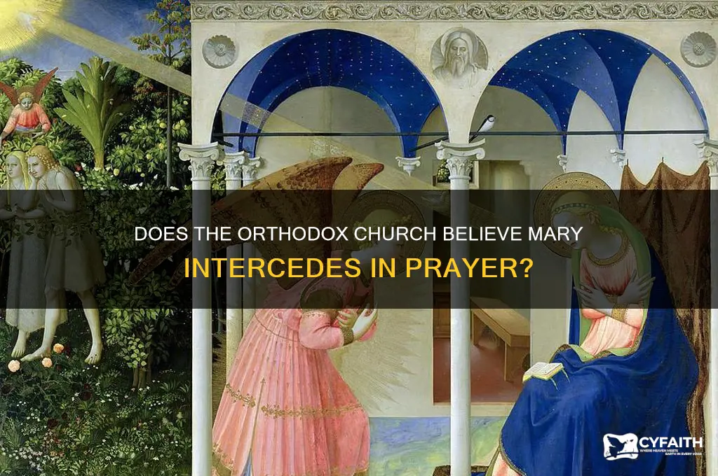 do orthodox believe that mary answers prayer