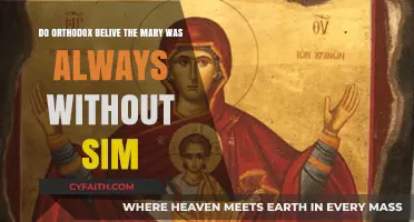 Orthodox Beliefs: Mary's Perpetual Sinlessness Explained and Debated