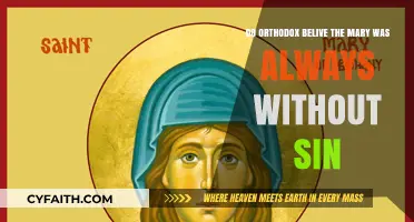 Orthodox Beliefs: Mary's Sinless Nature Explored and Explained