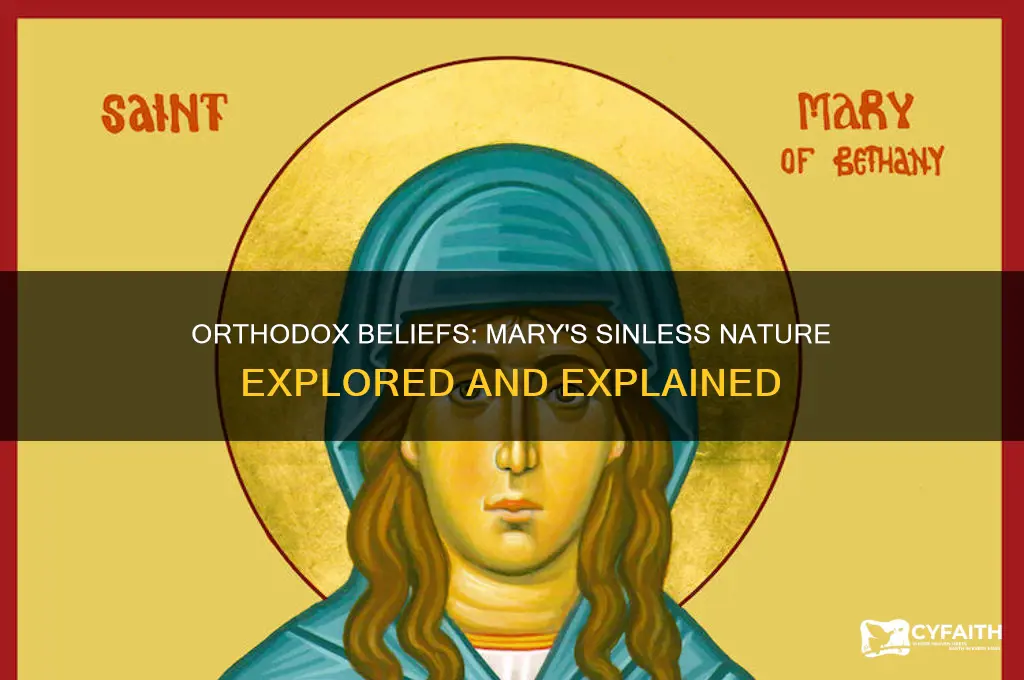 do orthodox belive the mary was always without sin