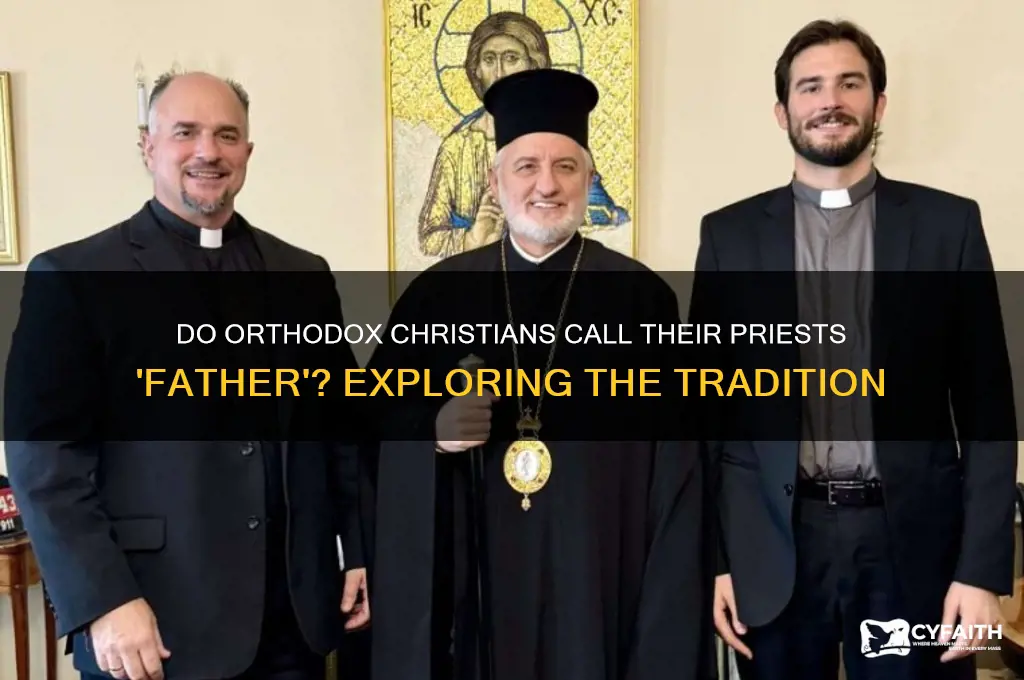 do orthodox call teir proests father