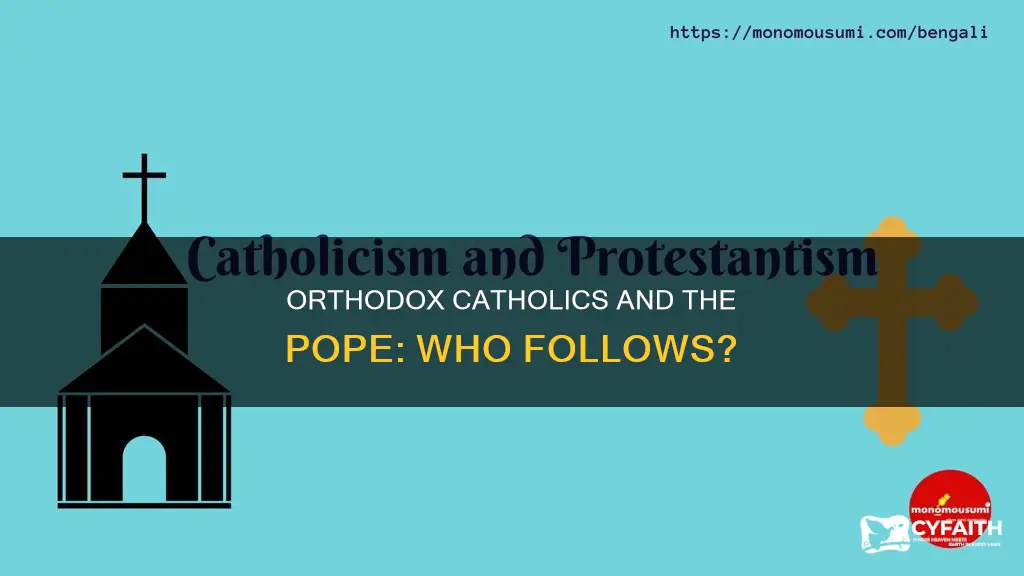do orthodox catholics follow the poep