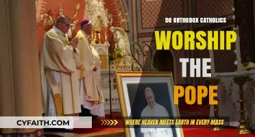 The Pope: Worship or Respect?