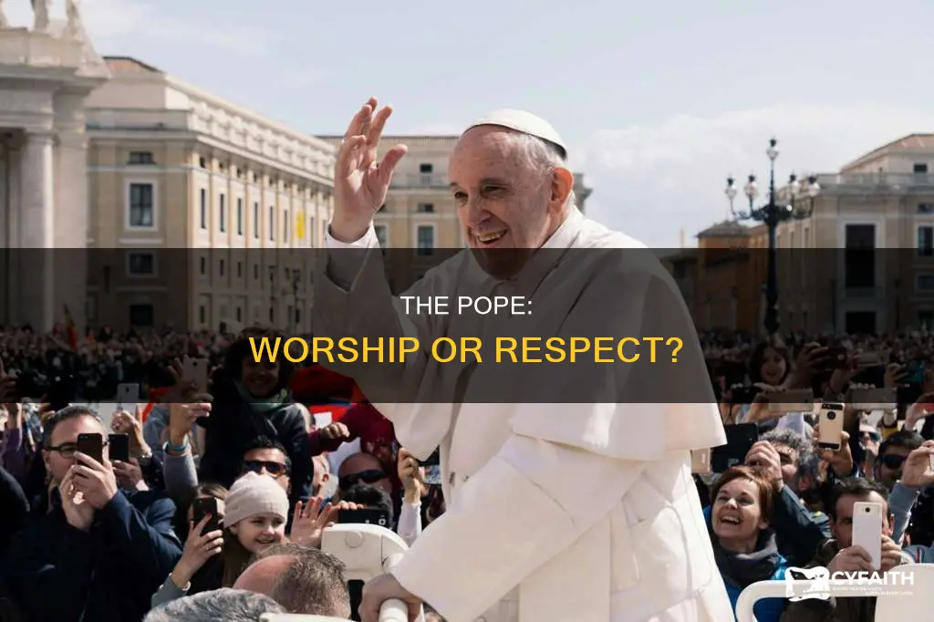 do orthodox catholics worship the pope