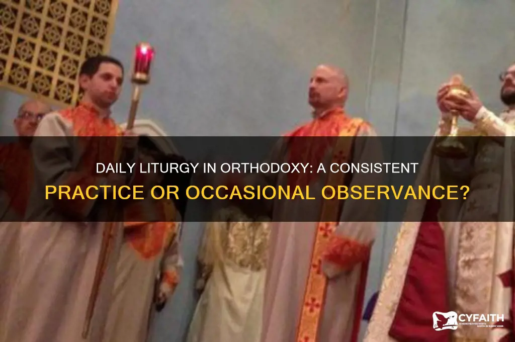 do orthodox celebrate liturgy every day