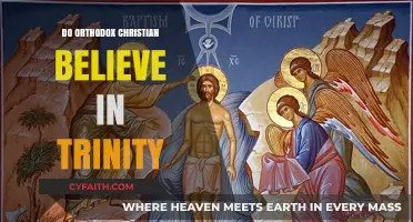 Orthodox Christian Beliefs: Understanding the Trinity Doctrine Explained