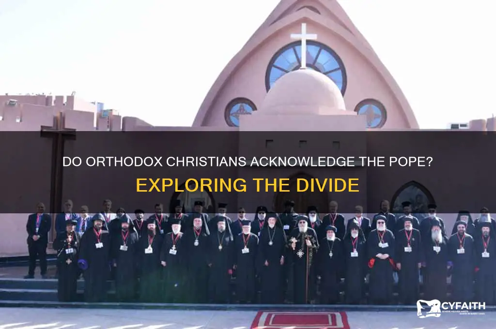 do orthodox christians acknowledge the pope