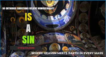 Orthodox Christianity and Homosexuality: Sin or Sacred Perspective?