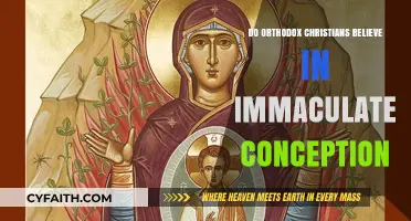 Immaculate Conception: Orthodox Christian Perspective on Mary's Conception