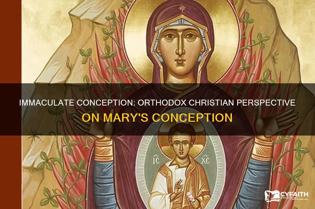 do orthodox christians believe in immaculate conception