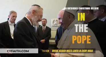 Do Orthodox Christians Recognize the Pope's Authority?