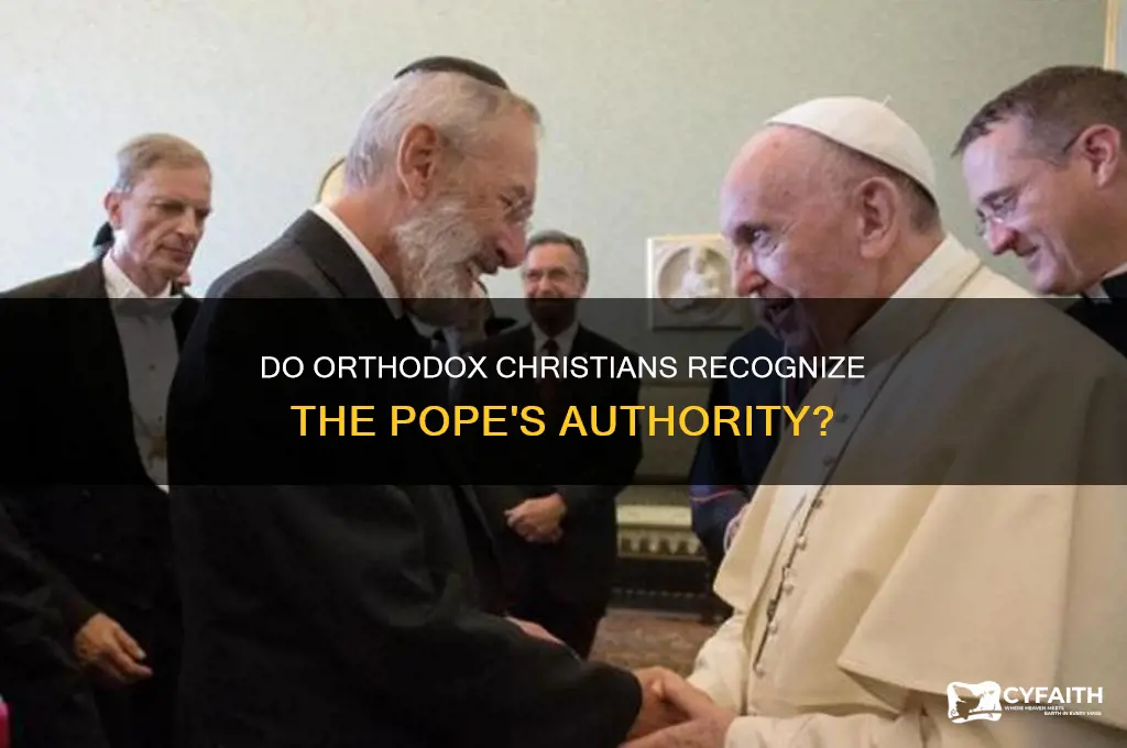 do orthodox christians believe in the pope