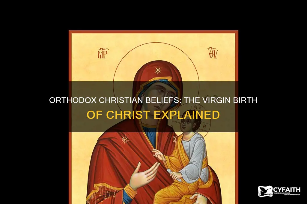 do orthodox christians belive in virgin biorth