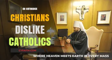 Orthodox and Catholic Relations: Misunderstandings, Tensions, or Mutual Respect?