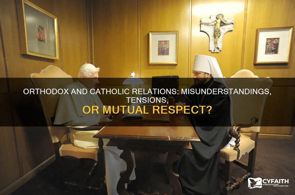 do orthodox christians dislike catholics