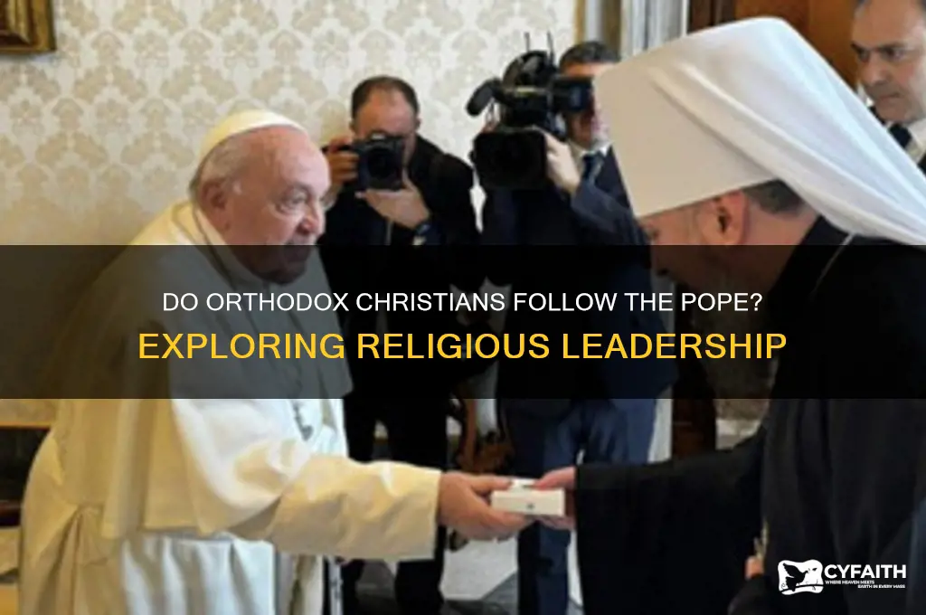 do orthodox christians follow the pope