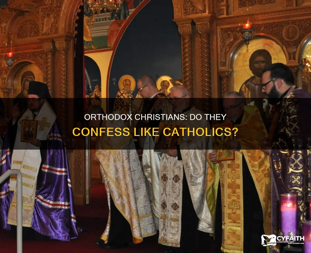 do orthodox christians have confession like catholics