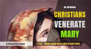 Understanding Orthodox Christian Veneration of Mary: Practices and Beliefs Explained