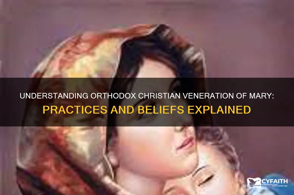 do orthodox christians venerate mary